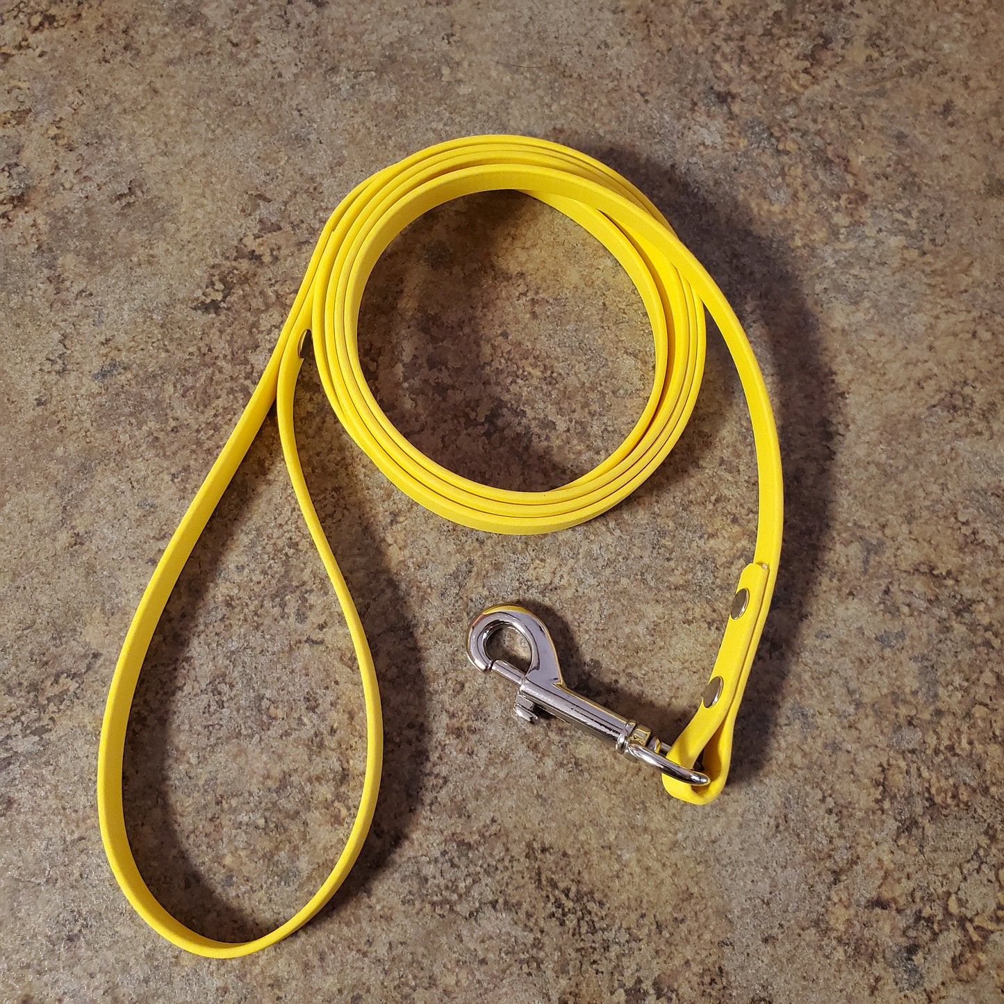 6' Biothane Pet Leash