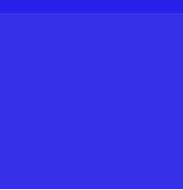 Biothane Traffic Lead